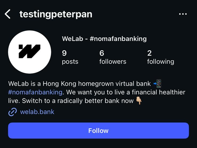 WLB - Fraudulent IG screencap.png